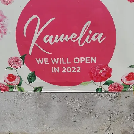 Hotel apartamentowy Kamelia 2022 Corfu Sant George Agios Georgios (Corfu)