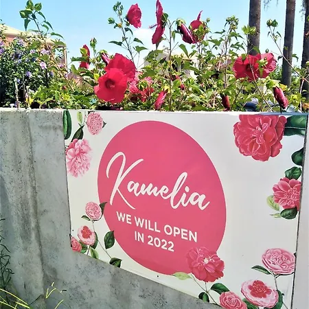 Kamelia 2022 Corfu Sant George Hotel apartamentowy